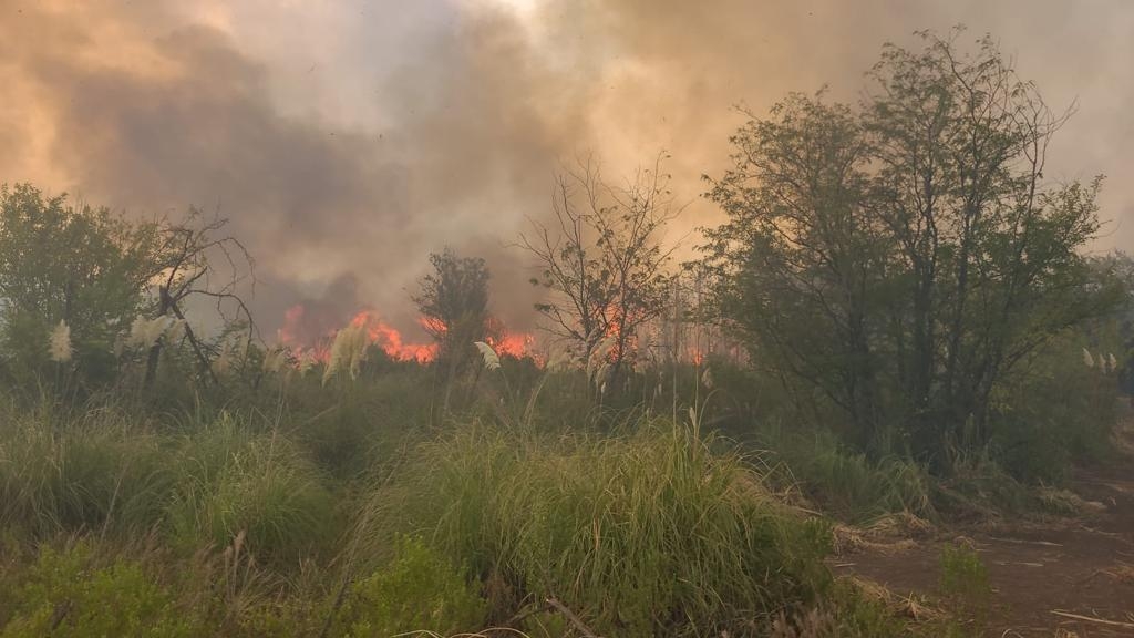 ¿Un incendio en Pilar podría  haber sido el causante del apagón en el país?