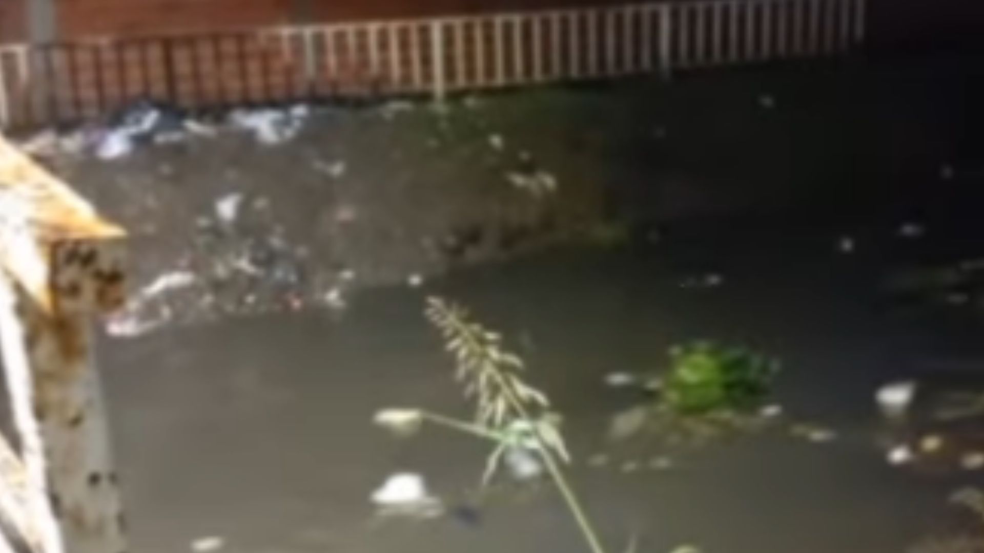 VIDEO: Arroyo Pinazo, al borde de la inundación y al tope de la basura