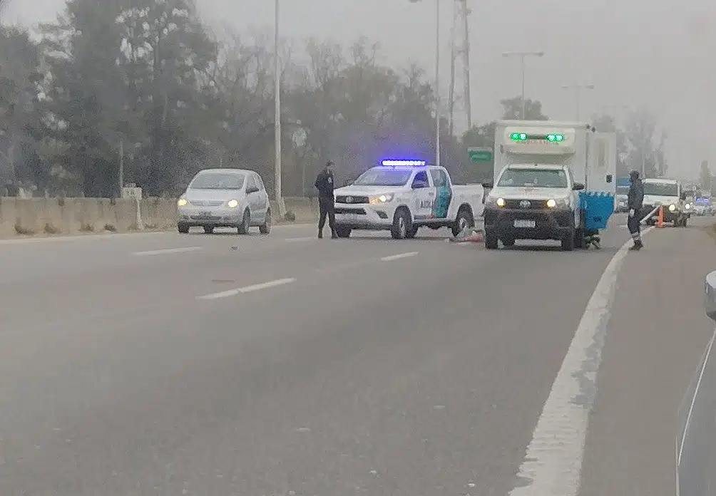 Cruzó la autopista corriendo y murió atropellado