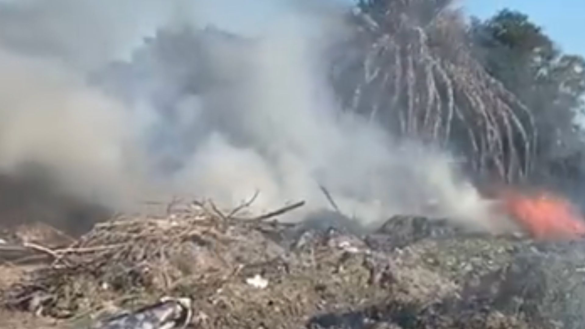 Incendio en un basural de La Lonja