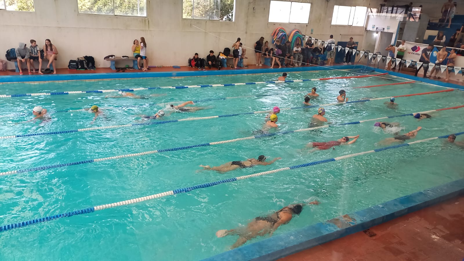 La Natación tuvo un Regional de ensueño en Chivilcoy