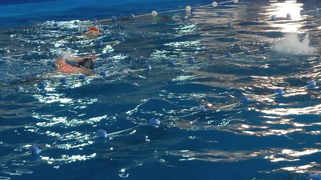La Natación PCD de Pilar dominó el Regional