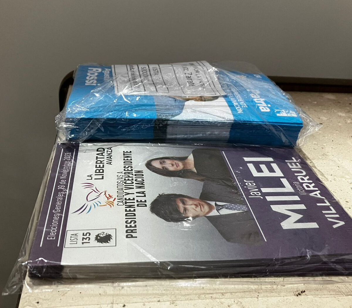 Detuvieron a un menor que se robó boletas de La Libertad Avanza