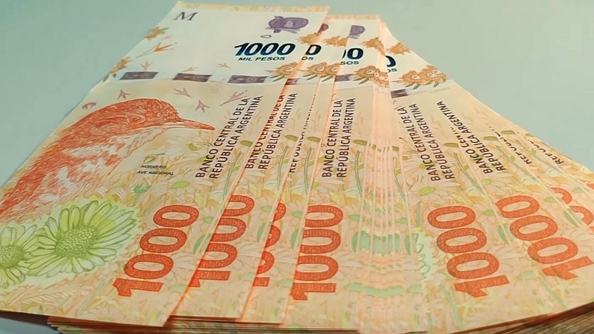 El Gobierno confirmó que se emitirán billetes de 20.000 y 50.000 pesos