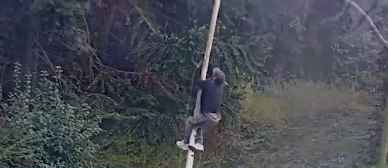 Detienen a cinco ladrones de cables: Uno de ellos tenía un pedido de captura por violencia de género