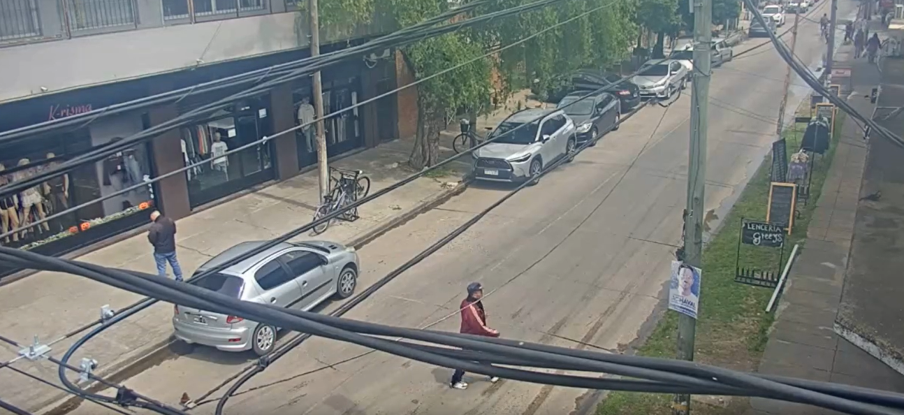 Botón de alerta, respuesta inmediata: Detienen a un ladrón en Del Viso