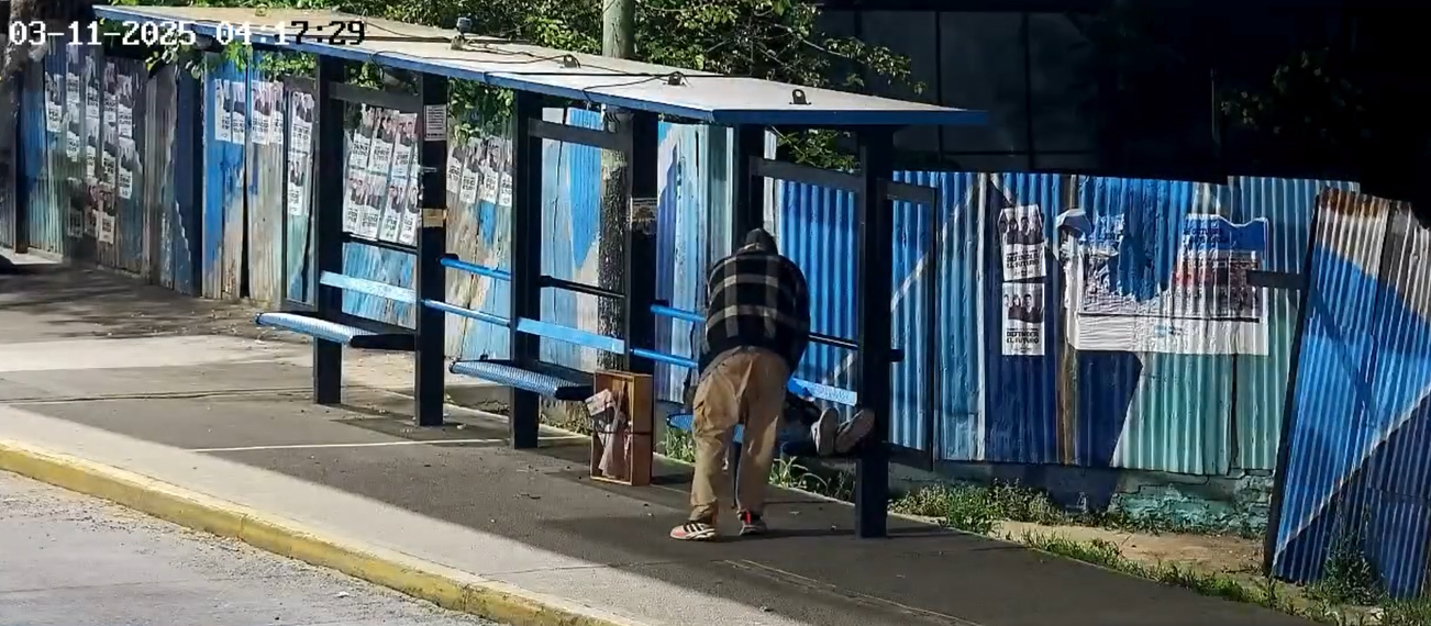 Detenido tras robar un celular en una parada de colectivos en plena madrugada